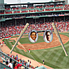 Roger Eydenberg: Baseball