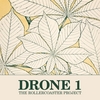 THE ROLLERCOASTER PROJECT: Drone 1