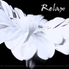 RHYTHM OF MANKIND & NATURE: Relax
