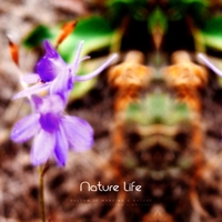 RHYTHM OF MANKIND & NATURE: Nature Life
