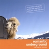 COMPILATION: Romantic Underground - "the winter edition"