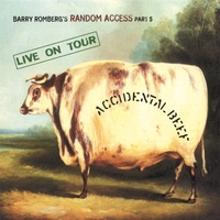 Barry Romberg's Random Access : Accidental Beef