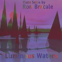 Ron Bracale : Luminous Waters