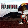RON COOK: Life Is Beautiful