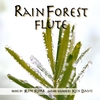 RON KORB AND KEN DAVIS: Rainforest Flute