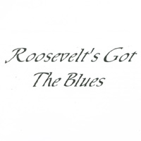 ROOSEVELT BASKIN: Roosevelt's Got The Blues