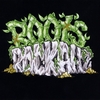 ROOTS ROCKAHZ: In Dis Time