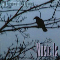 DAVID ROSENBLOOM & THE OUTLANDERS: Music Is