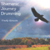 FRAUKE ROTWEIN: Shamanic Journey Drumming