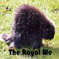 The Royal We : The Royal We