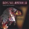 RACHEL SEVER & FEATURED ARTISTS: Social Animals
