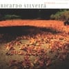RICARDO SILVEIRA: Outro Rio