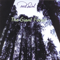 Rich Smith : The Giant Forest
