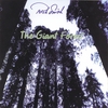 RICH SMITH: The Giant Forest