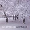 Jason Rubero: Brilliant Peace