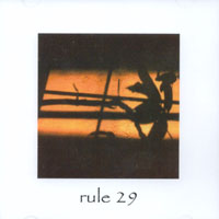 Rule 29 : rule 29