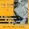 RUMBLE BEES AND SEXY WORKER BEES: Be Pretty, Be Naked, Be Quiet...and other songs of healing including "Dysfunctional Family" and "A Lot Like Life"