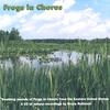 BRUCE RUTKOSKI: Frogs in Chorus