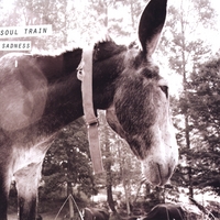Ryan Gustafson : Donkey LP