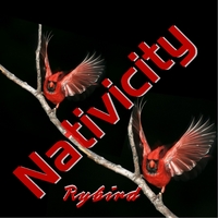Rybird : Nativicity