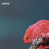 SABA: Saba