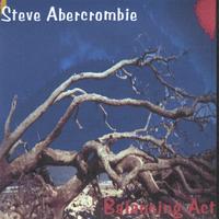 Steve Abercrombie : Balancing Act