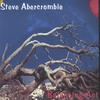 STEVE ABERCROMBIE: Balancing Act