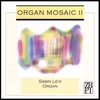 SABIN LEVI: Organ Mosaic II