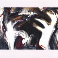SABRINA SIEGEL: flutter: Embodiments