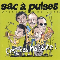 Sac à Pulses : C'est Pas Ma Faute (It Ain't My Fault)
