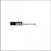 SAETA: Structure in the Void