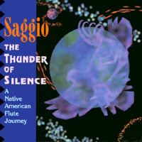 Saggio : The Thunder of Silence