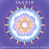 SAGGIO: Hollow Bone: Healing Songs of the Native Flute