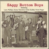 SAGGY BOTTOM BOYS: Just Havin Fun