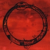 AARON FLINN'S SALAD DAYS: Oroboros