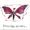 AARON FLINN'S SALAD DAYS: Flower+Bird=Butterfly