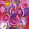 THE SALLY CATS: Wonderful Day