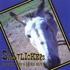 SALTLICKERS: Everybody's Here But You