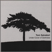 TOM SALVATORI: Under Cover of Darkness