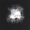 SAM BARRY: Darkest Dream