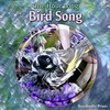 SAMBODHI PREM: One Hour Long Bird Song