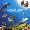 Sam Lardner: Oceans Are Talking