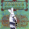 SAM PHIPPS: Animal Sounds