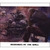 SAM SUMMERWOLFE: Memories At The Wall