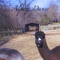 Alpaca Dance by Lex Samu