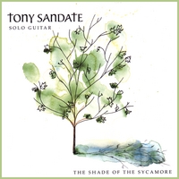 TONY SANDATE: The Shade of the Sycamore