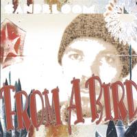 From A Bird Copertina di From A Bird