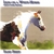 SAND SHEFF: Lion on a White Horse (Sand's Gospel Record)