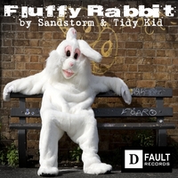 Sandstorm & Tidy Kid : Fluffy Rabbit