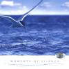 SANTEC MUSIC ORCHESTRA: Moments Of Silence